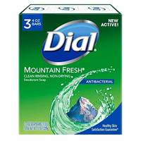 Dial Antibacterial Mountain Fresh 3 X 113 g - Antibakterielle Stückseife